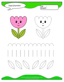 Çizgi Çalışma Sayfaları